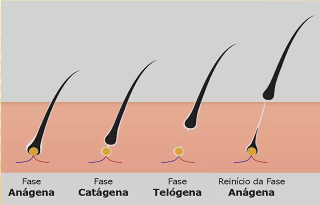 Porque fazer o corpo inteiro? O cabelo já tá bom assim