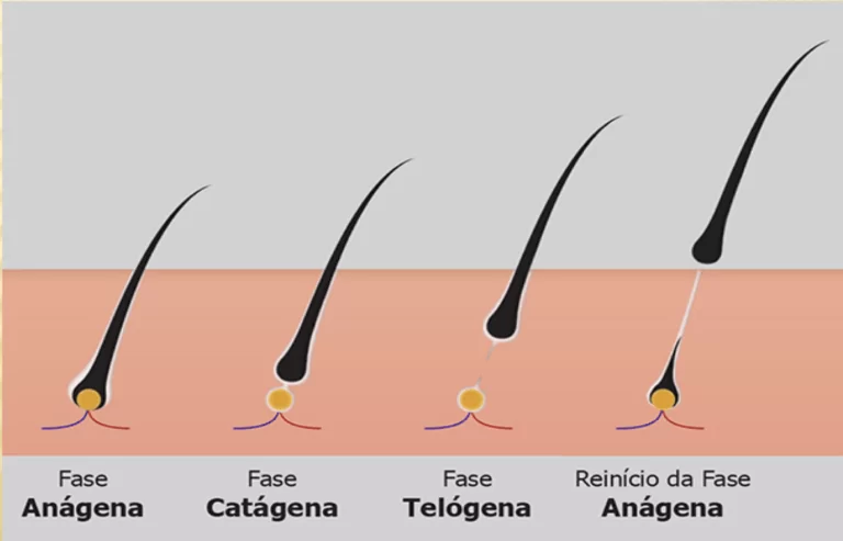 fases do cabelo você sabe como funciona o ciclo capilar capellux